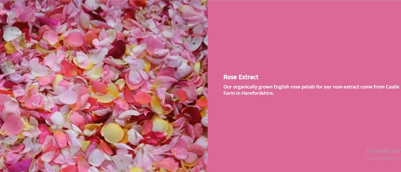 تونر گل رز بریتانیایی بادی شاپ the body shop