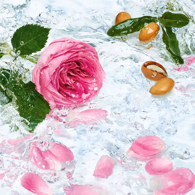 ژل دوش آرگان گل رز ایوروشه yves rocher argan