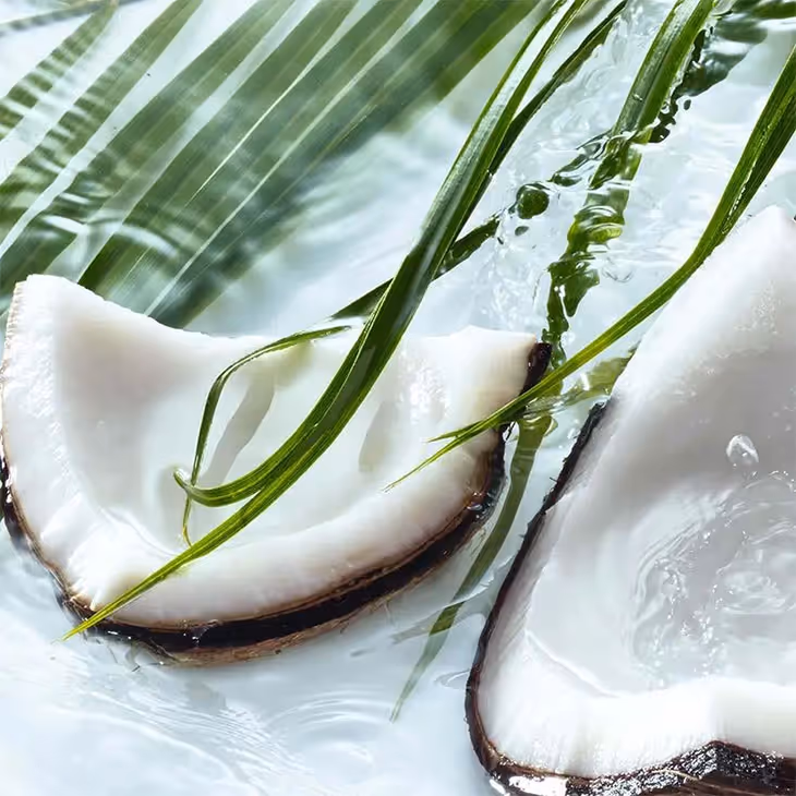 ژل دوش نارگیل ایوروشه yves rocher coconut
