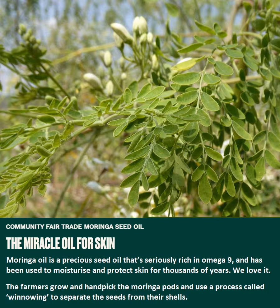 ژل دوش مورینگا بادی شاپ body shop moringa