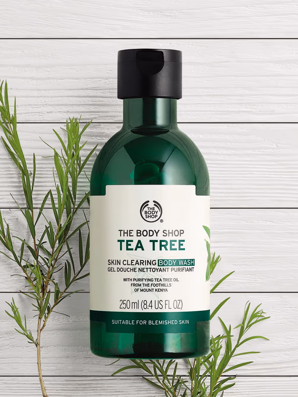 ژل دوش درخت چای بادی شاپ the body shop tea