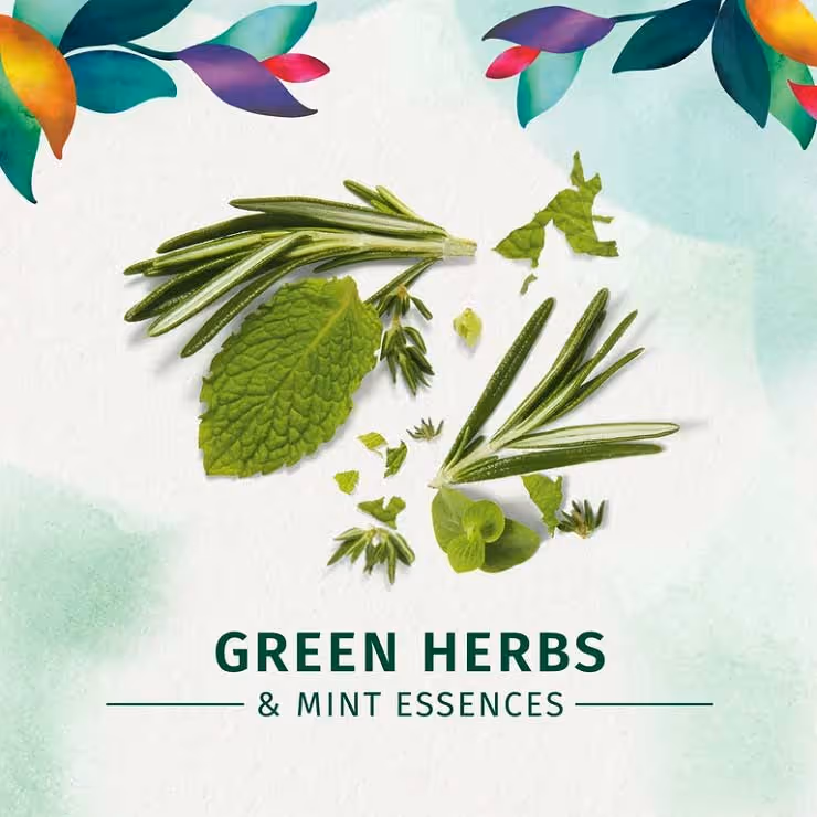 شامپو درخشان کننده سم زدای هربال اسنسز herbal