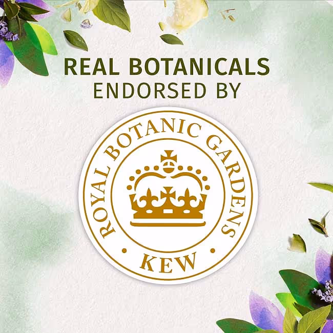 نرم کننده موی خیار چای سبز هربال اسنسز herbal