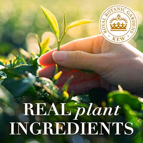 نرم کننده موی خیار چای سبز هربال اسنسز herbal