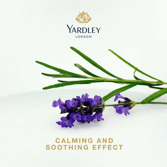 کرم موی لاوندر یاردلی yardley english