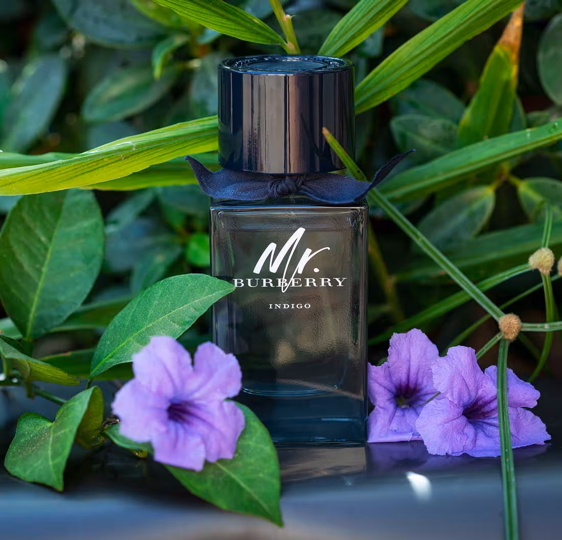 عطر مردانه مستر بربری ایندیگو mr burberry