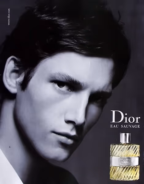 عطر دیور او ساوج ادو تویلت dior eau sauvage