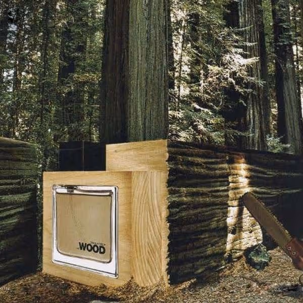 عطر دسکوارد هی وود مردانه he wood