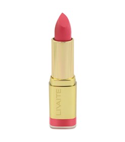 رژ لب مات لیوایت شماره 501 Livaite lipstick