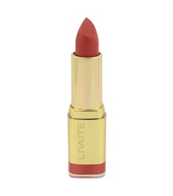 رژ لب مات لیوایت شماره 504 Livaite lipstick