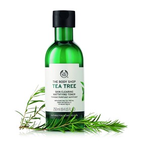 تونر مات کننده درخت چای بادی شاپ The Body Shop Tea Tree Toner حجم 250 میلی لیتر