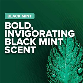 ژل دوش طراوت بخش نعناع سیاه ایریش اسپرینگ Irish Spring Black Mint حجم 532 میلی لیتر