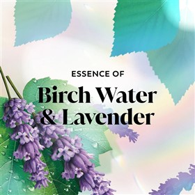 شامپو بدن روشن کننده درخت توس و لاوندر اولی Olay Birch Water Lavender حجم 650 میلی لیتر