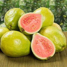 کره بدن گواوا پتال فرش Petal Fresh Perfecting Guava حجم 237 میلی لیتر