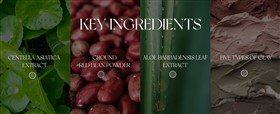 ماسک استیکی کوچک کننده منافذ سنتلا Centella Poremizing وزن 27 گرم