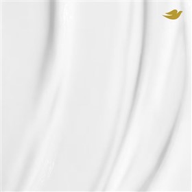 شامپو مراقبت از موهای رنگ شده داو Dove Color Protect حجم 355 میلی لیتر