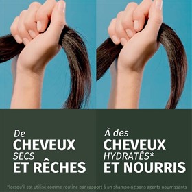 شامپو آبرسان نارگیل هربال اسنسز Herbal Essences Coconut حجم 250 میلی لیتر