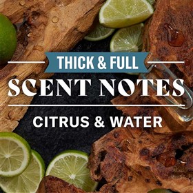 شامپو و نرم کننده حجم دهنده موی اولد اسپایس Old Spice Thick Full حجم 650 میلی لیتر