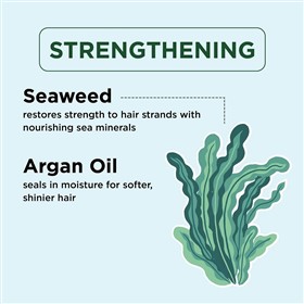 شامپو استحکام بخش جلبک دریایی و روغن آرگان پتال فرش Seaweed Argan حجم 475 میلی لیتر