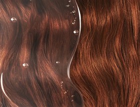 شامپو مراقبت و درخشان کننده موهای رنگ شده فیتو Phyto Couleur حجم 250 میلی لیتر