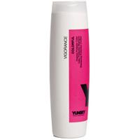شامپو محافظ موهای رنگ شده یانسی Yunsey Colour Protection Shampoo