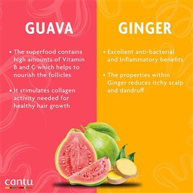 لوسیون پاکسازی پوست سر قبل از شامپوی کانتو Cantu Guava Ginger حجم 180 میلی لیتر