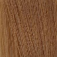 رنگ موی فرامسی گلامور - شماره 8.46 - بلوند کهربایی روشن
