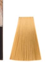 کیت رنگ موی گپ - شماره 10 - بلوند خیلی روشن - Gap hair color