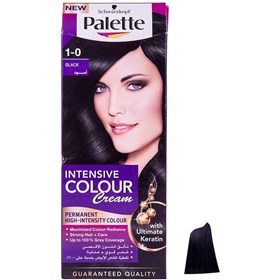 کیت رنگ مو پلت سری اینتنسیو شماره 1.0 مشکی Palette Intensive