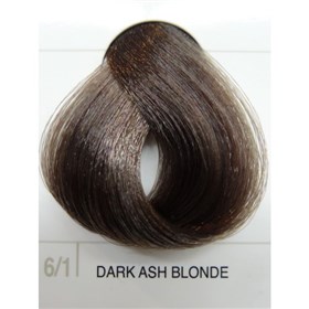 رنگ موی فشینلی - شماره 6.1 - بلوند خاکستری تیره - fascinelle hair colour