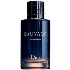 عطر دیور ساوج ادو پرفیوم Dior Sauvage Eau de Parfum حجم 100 میلی لیتر