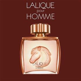 عطر لالیک پور هوم ایکوز Lalique Pour Homme Equus حجم 100 میلی لیتر