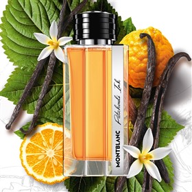 عطر مردانه مون بلان پچولی اینک Patchouli Ink حجم 125 میلی لیتر