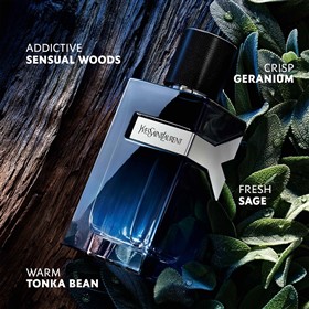 عطر مردانه ایو سن لورن وای ادوپرفیوم YSL Y حجم 100 میلی لیتر