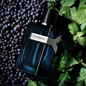 عطر مردانه ایو سن لورن وای ادوپرفیوم اینتنس YSL Y Intense حجم 100 میلی لیتر