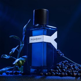 عطر مردانه ایو سن لورن وای ادوپرفیوم اینتنس YSL Y Intense حجم 100 میلی لیتر