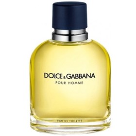 عطر دلچه اند گابانا پور هوم Dolce Gabbana Pour Homme حجم 125 میلی لیتر