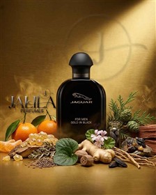 عطر مردانه جگوار فور من گلد این بلک Jaguar Men Gold in Black حجم 100 میلی لیتر