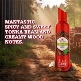 اسپری دئودورانت بدون گاز اولد اسپایس تیمبر Old Spice Timber حجم 140 میلی لیتر