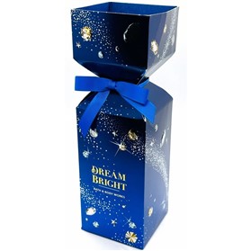 ست هدیه بث اند بادی ورکس دریم برایت Bath Body Dream Bright Mini Gift