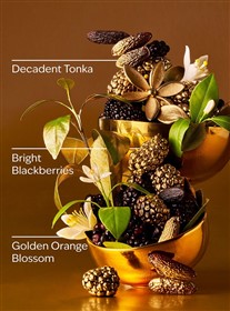 بادی اسپلش بث اند بادی ورکس Touch of Gold حجم 236 میلی لیتر