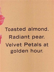 بادی اسپلش ویکتوریا سکرت Velvet Petals Golden حجم 250 میلی لیتر